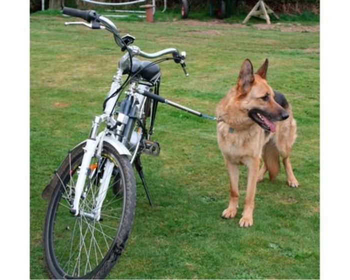 Велоповодок Walkydog для велопрогулок с собакой Вінниця