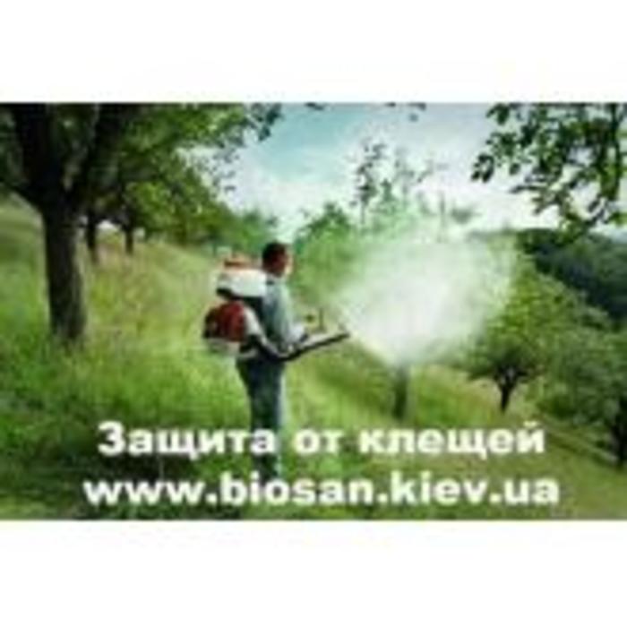 Обработка территории от комаров, клещей. Київ