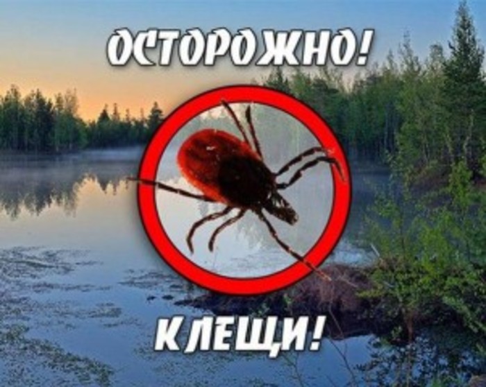 Обработка территории от комаров, клещей. Київ