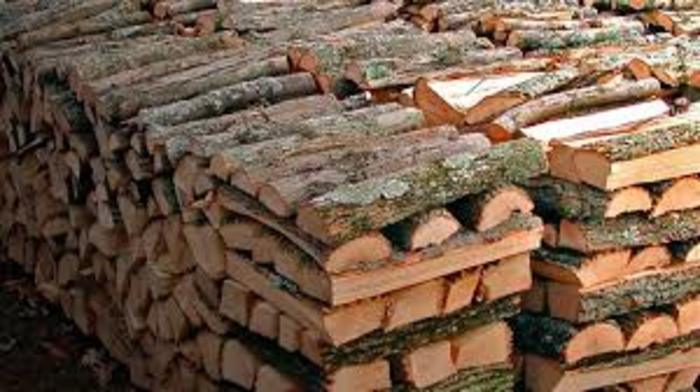 Продам колотые дрова твердых пород древесины.  Киев