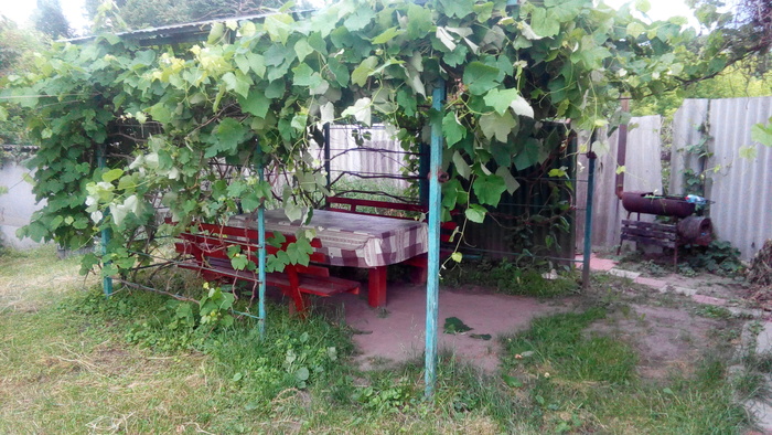Садиба «Чайка»  розташована в мальовничому куточну, біля р. Рось, 1,5  Богуслав
