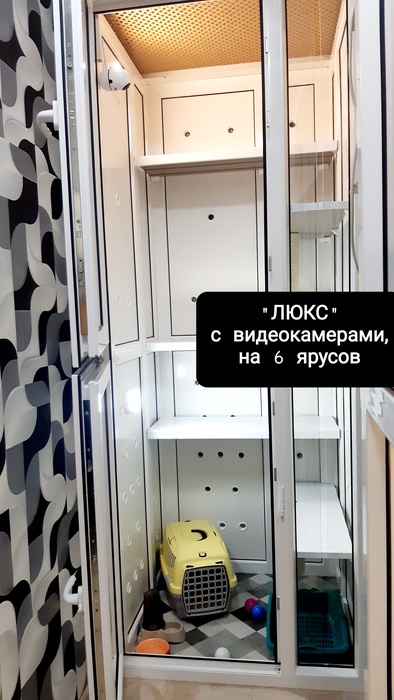 100грн/сут- "Люкс"передержка, Гостиница для Котов и Кошек, с видеокамерами со звуком  Київ