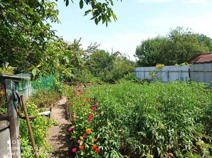 Продам дом Синельникове