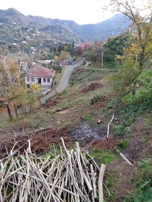 Батуми за городам Цинсвла срочно продаётся земельный участок Batumi